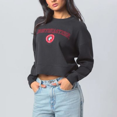 Northeastern Homecoming Crew